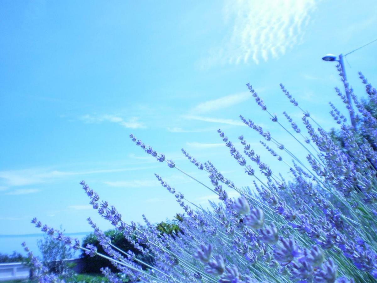 Apartman Lavanda - Villa Antonio Abbazia Esterno foto